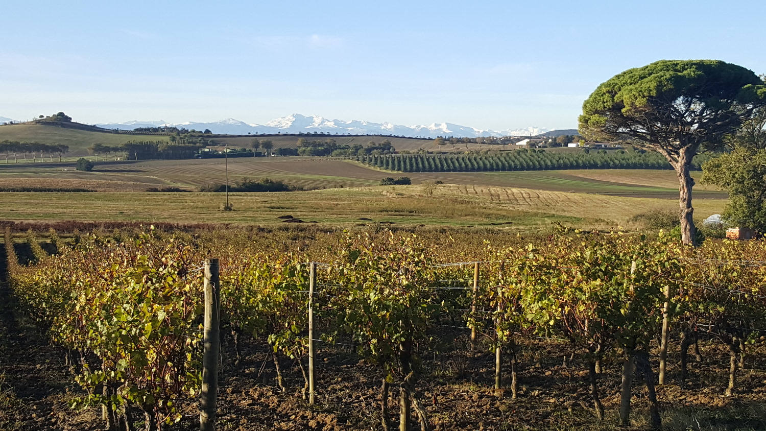 vue du Domaine le Fort