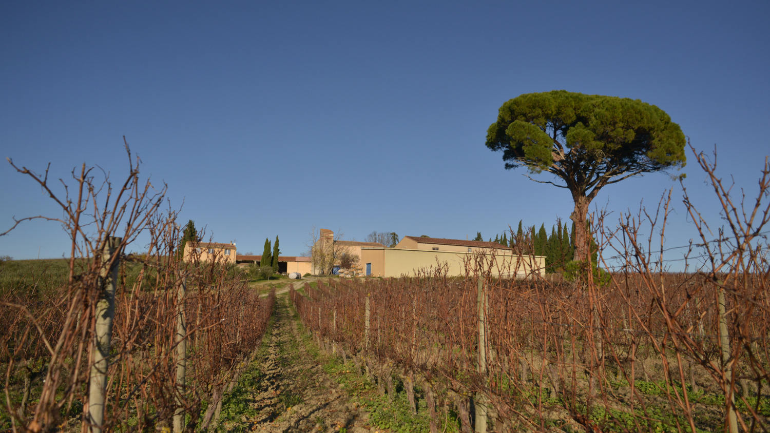 vue du Domaine le Fort