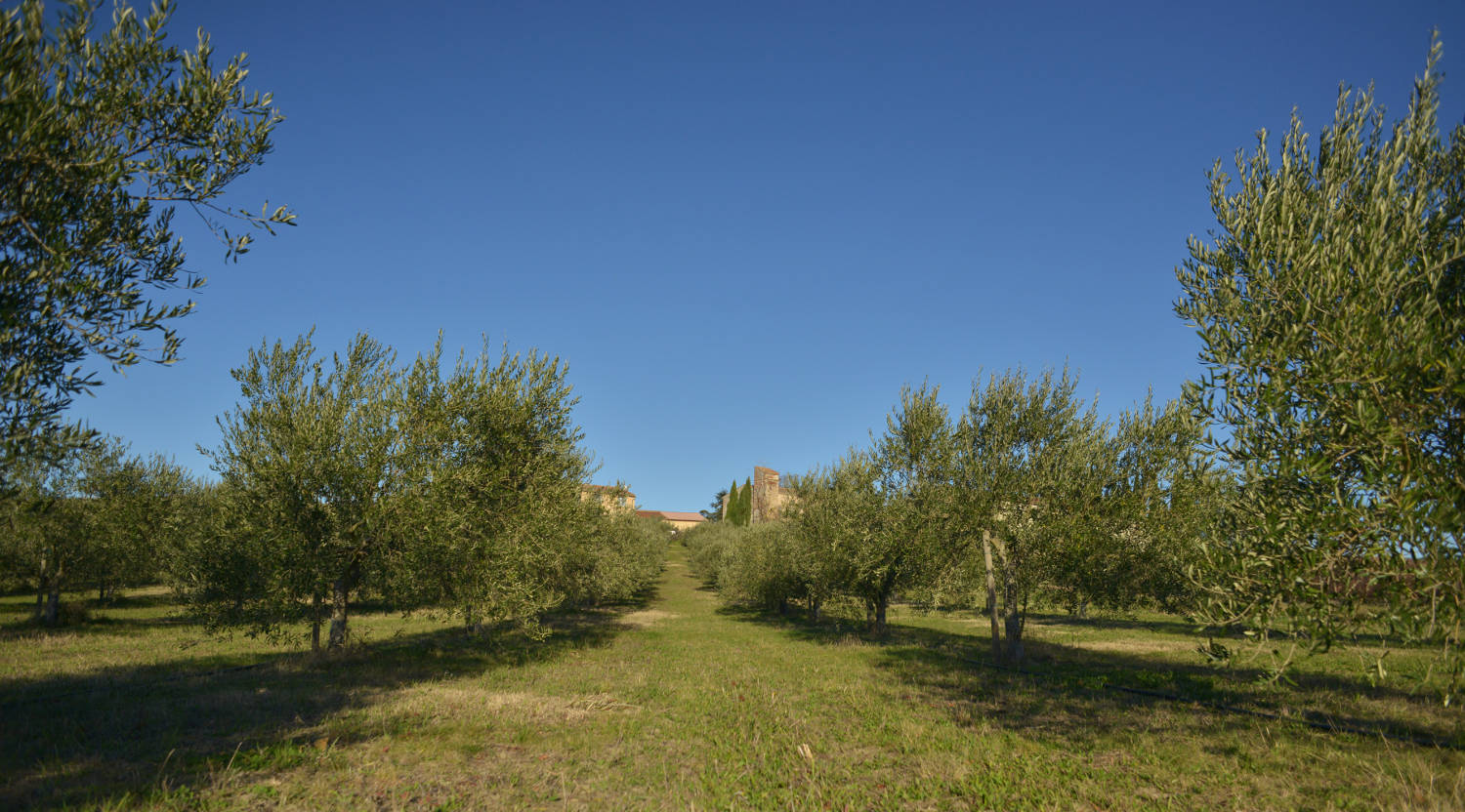 vue du Domaine le Fort