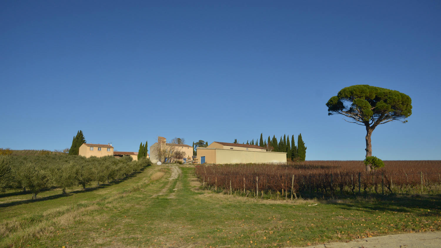 vue du Domaine le Fort