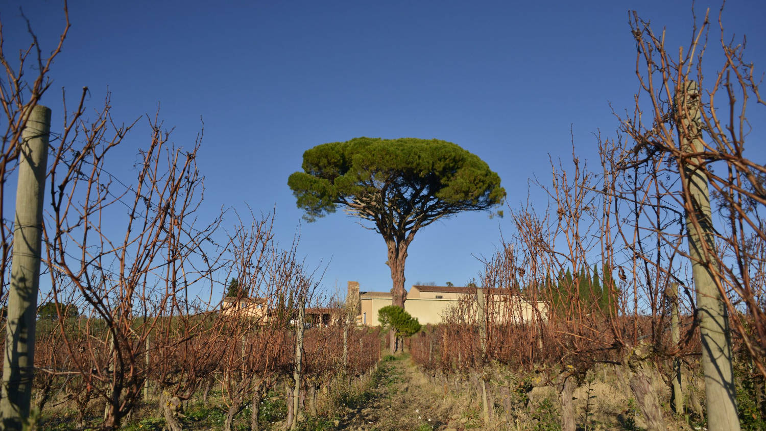 vue du Domaine le Fort