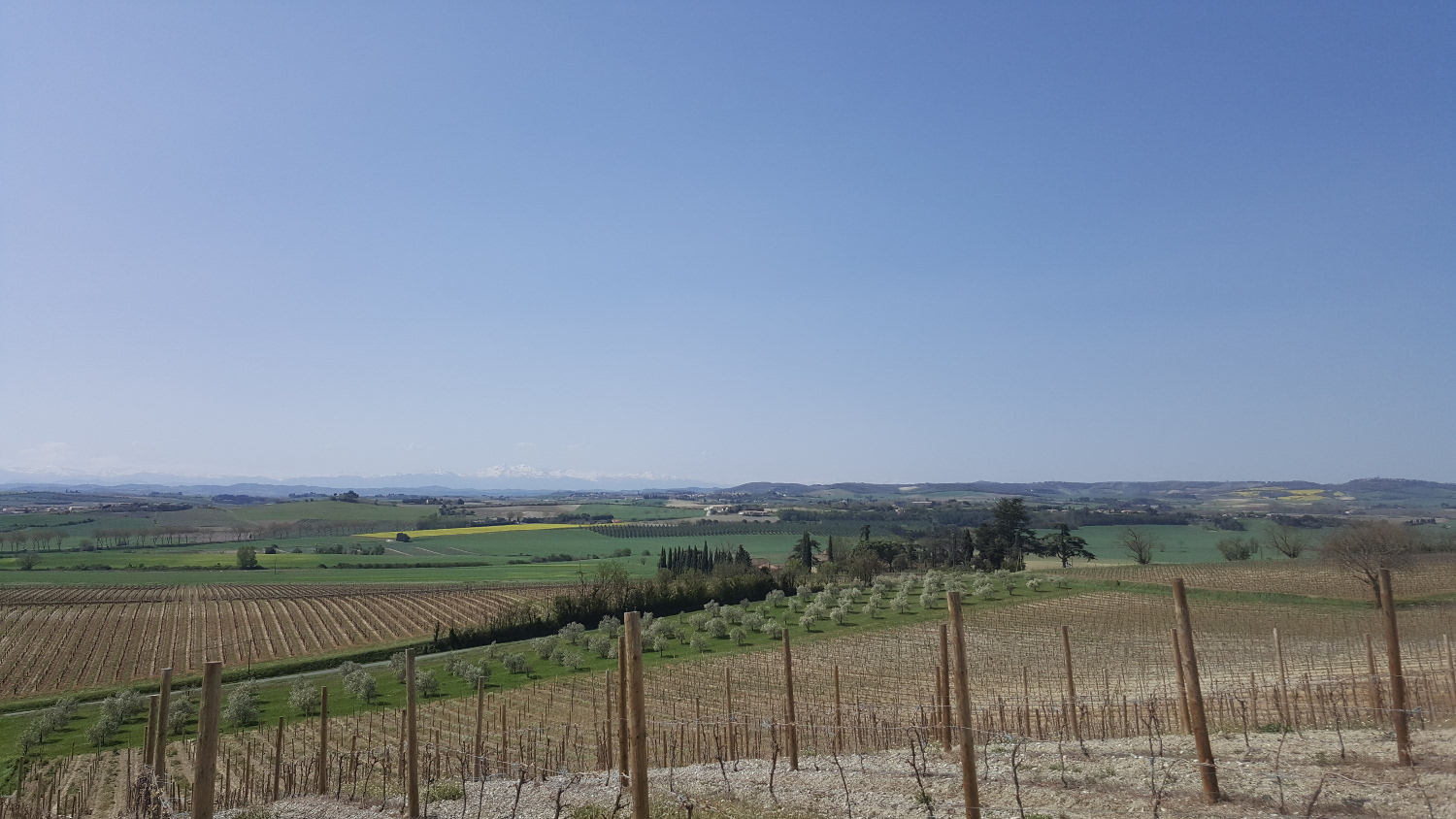 vue du Domaine le Fort